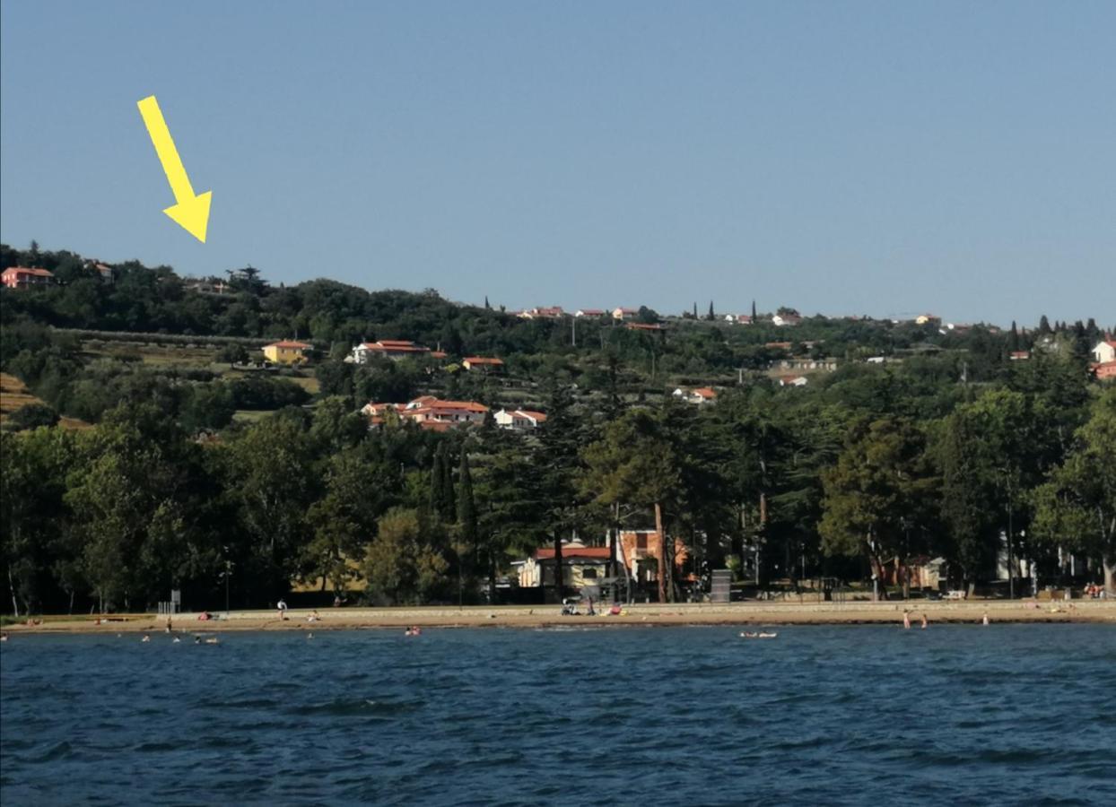 Apartmán Apartma Monte Moro Ankaran Exteriér fotografie